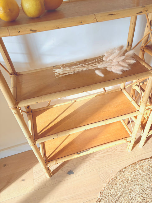 Paire de bibliothèque rotin vintage "Bruna"