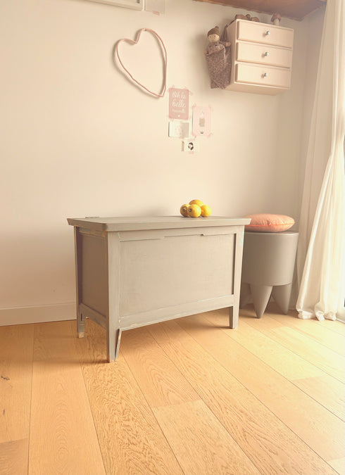 Coffre vintage "Léon"