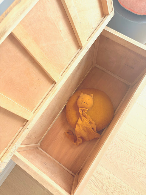 Coffre vintage "Léon"