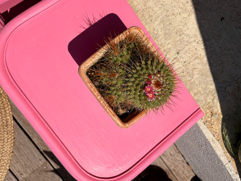 Paire de chevets rotin rose " Pauline"