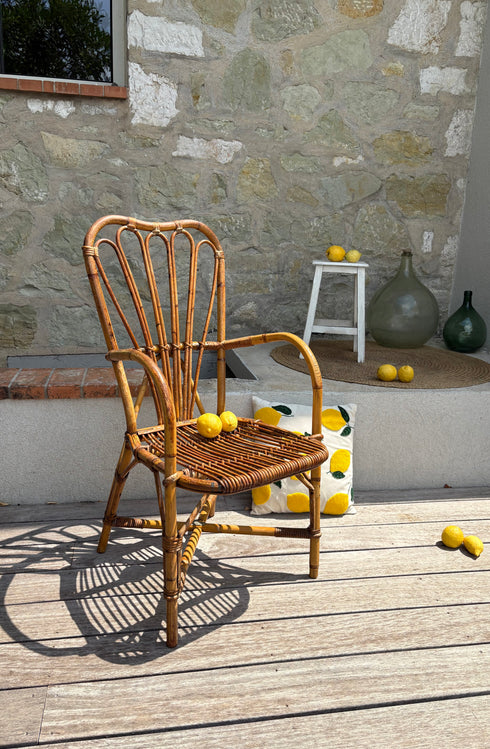 Fauteuil rotin Audoux-Minet « Lazare »