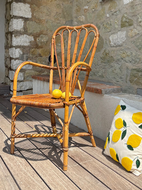 Fauteuil rotin Audoux-Minet « Lazare »