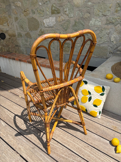 Fauteuil rotin Audoux-Minet « Lazare »