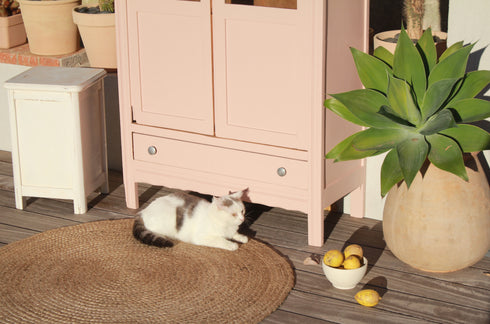 Petite armoire art déco vitrée "Rose"