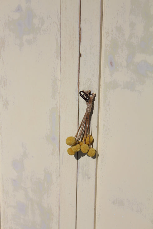 Armoire parisienne "Victoire"