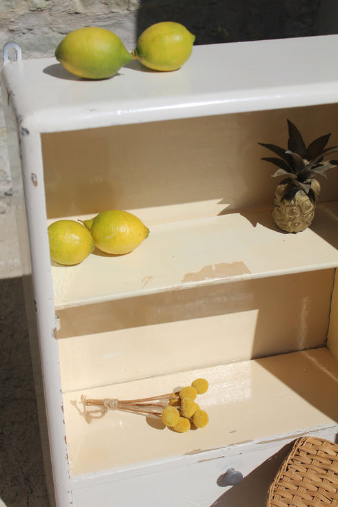 Armoire à pharmacie ancienne "Marie"