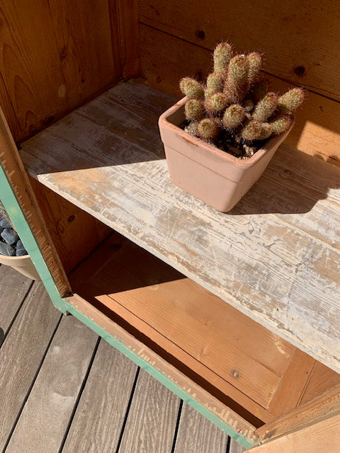 Bonnetière ancienne "Narcisse"