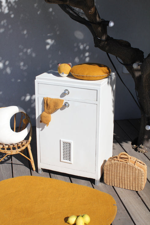 Adorable coffre vintage "Léon"