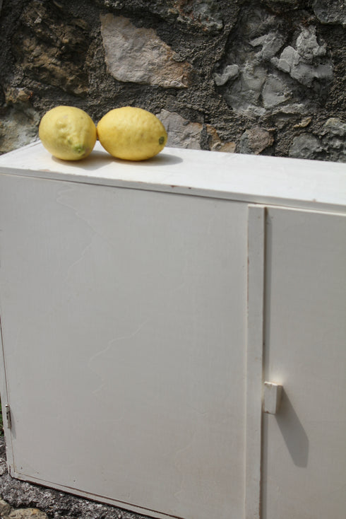 Meuble vintage années 50 "Samuel"