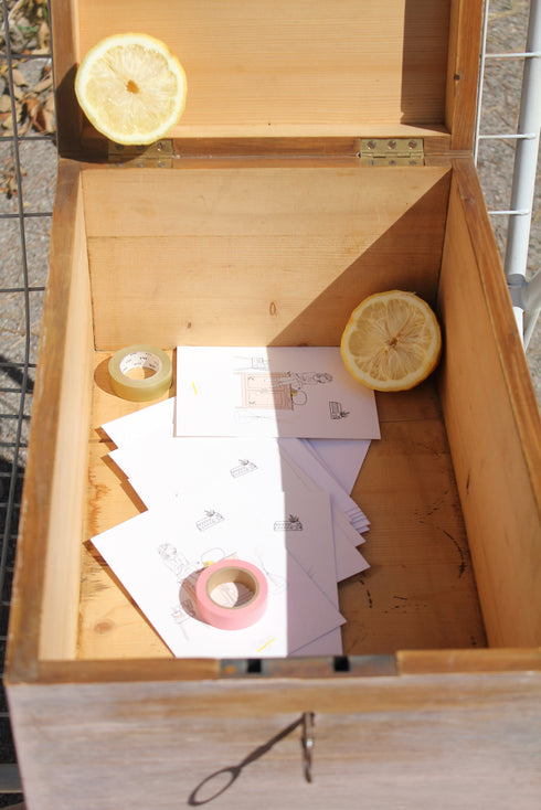 Coffre en bois ancien "Albert"