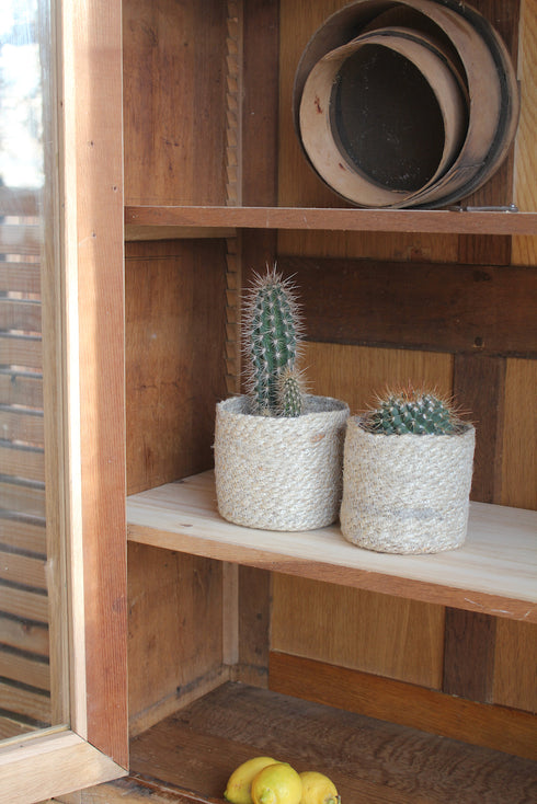 Magnifique armoire vitrée en chêne "Prudence"